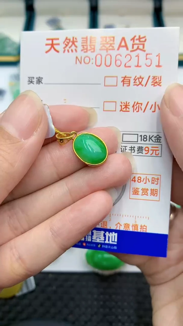 【闪购商品】翡翠颈饰银S925镶嵌            8