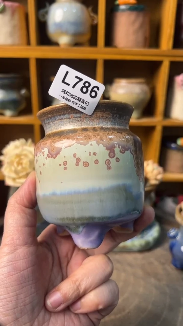 ៚****༗786【多肉花盆多肉盆】