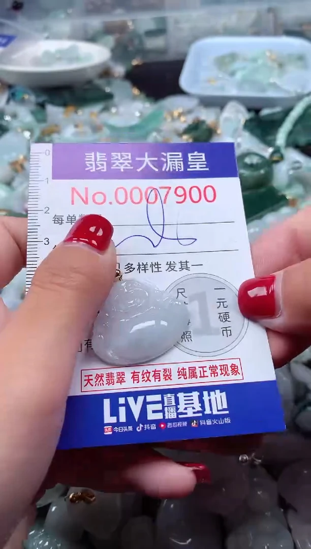 颈饰未镶嵌翡翠7900