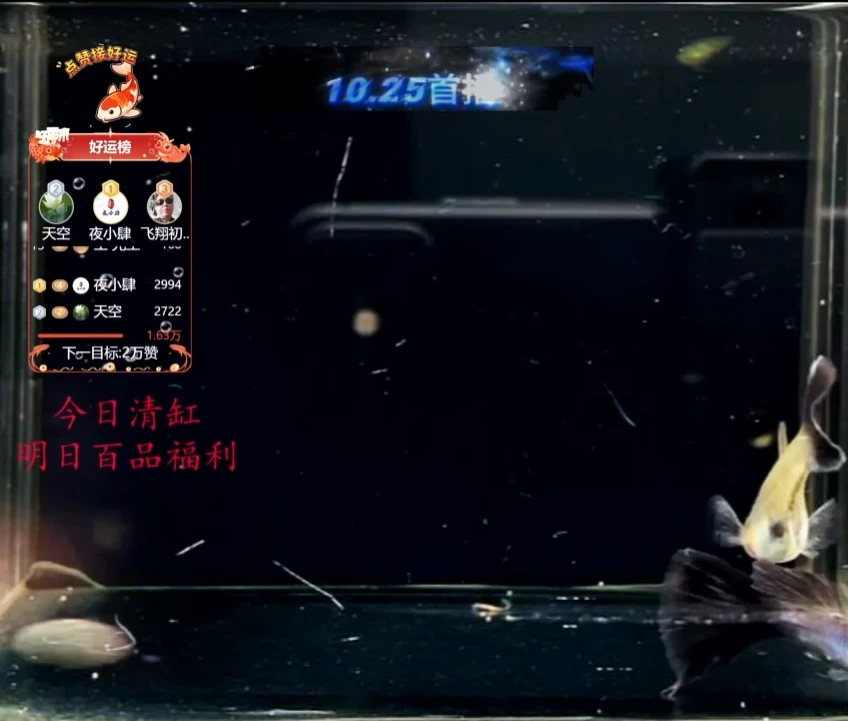 孔雀鱼饲料一大瓶体验