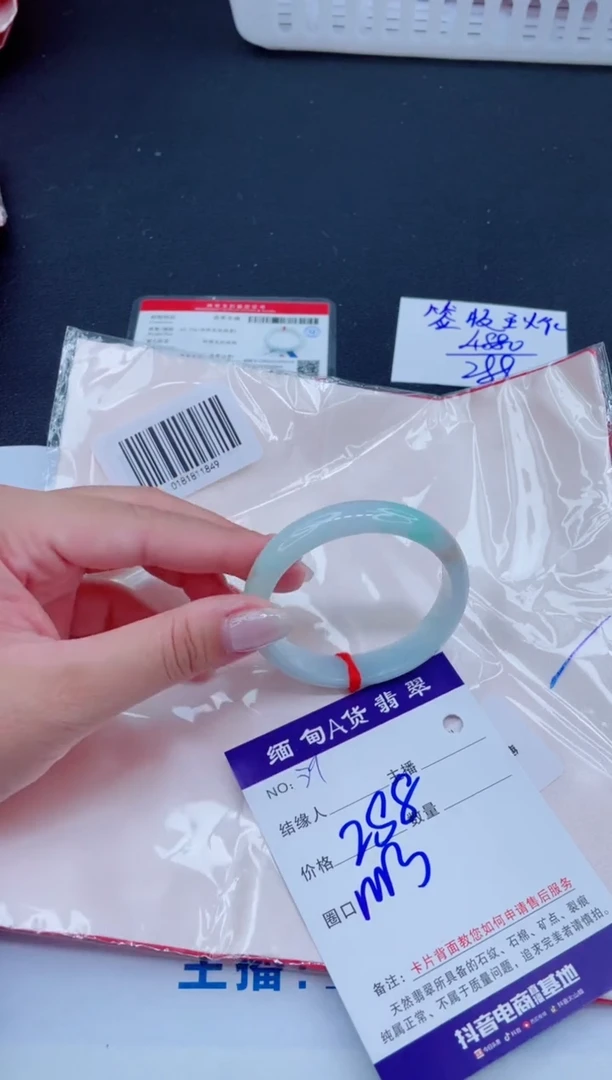 未镶嵌手镯翡翠288