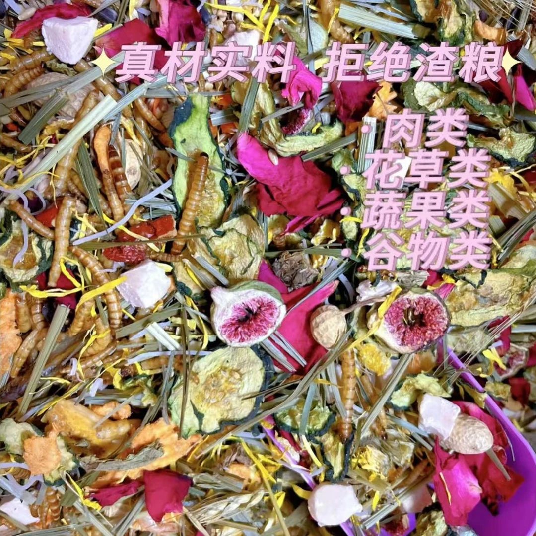 自配精品金丝熊粮食