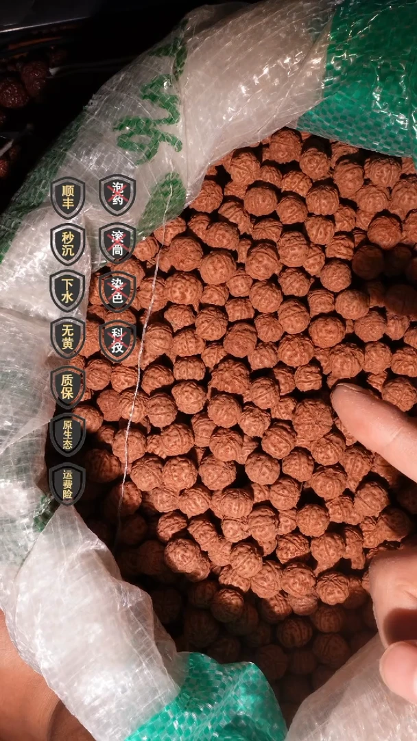 【闪购商品】金刚菩提手串14mm老树王原桩单圈首次破价九五性情款