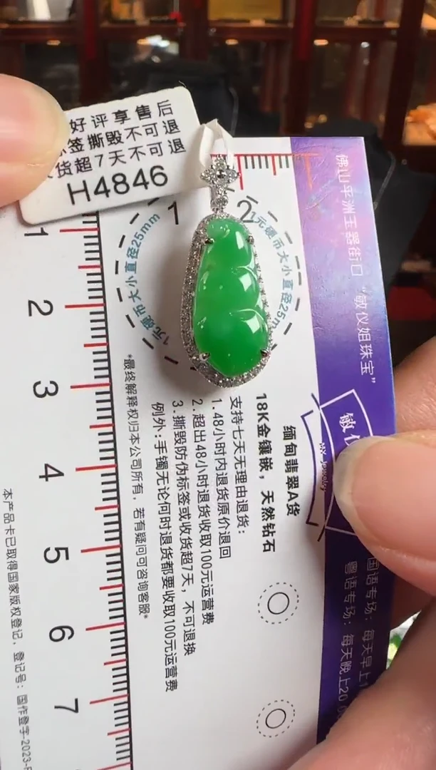 颈饰18K金镶嵌翡翠H4846冰绿富贵豆