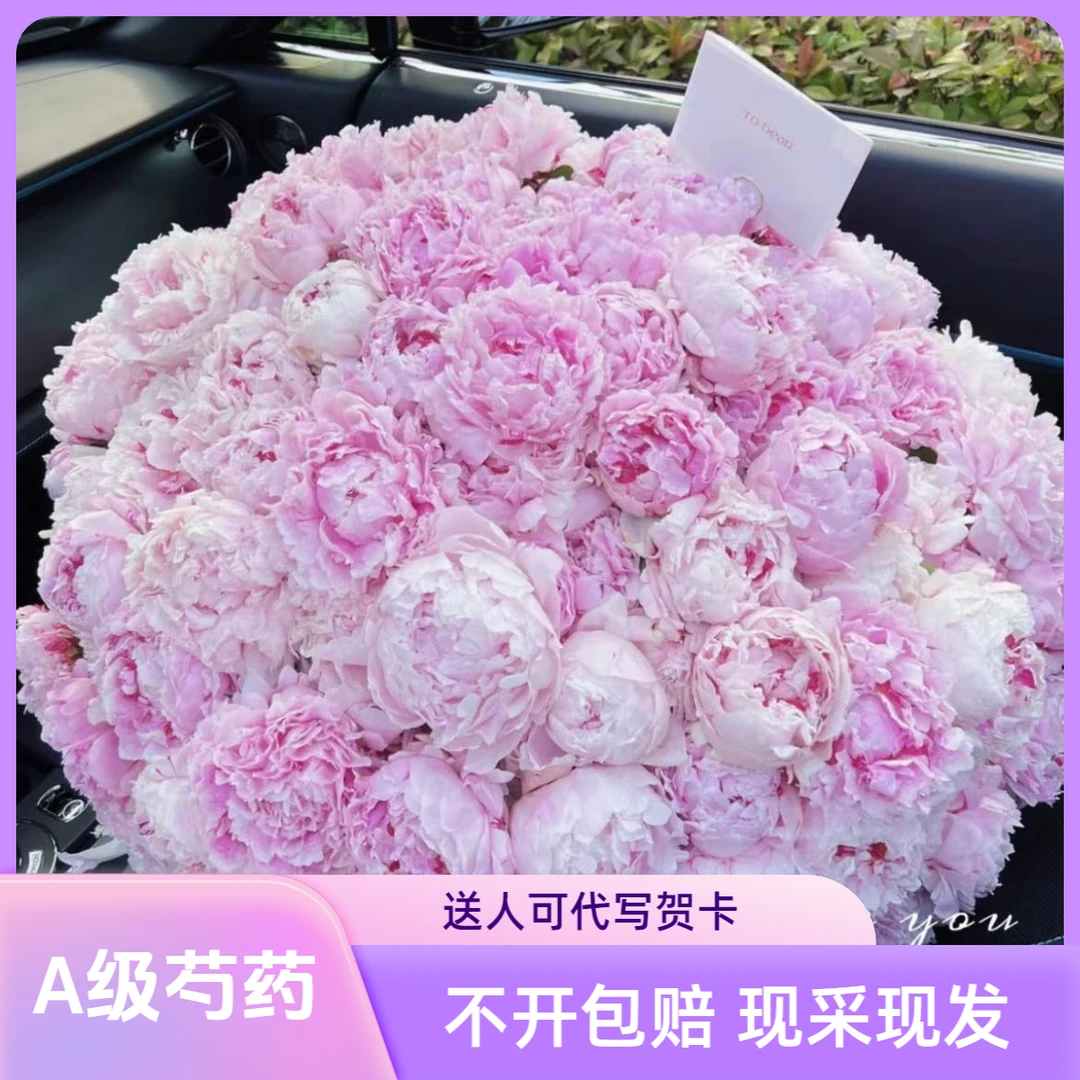 ［现货］3A级进口莎拉芍药鲜花水养插花鲜切花女神节花束顺丰空运