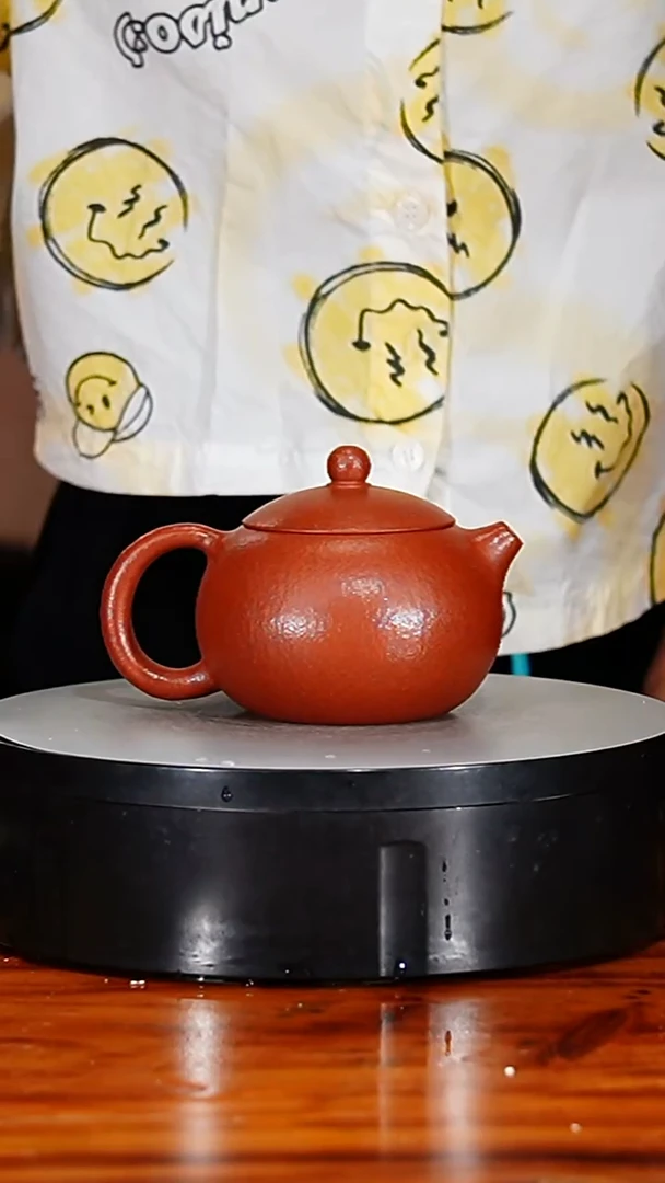 宜兴原矿紫砂壶茶壶250C
