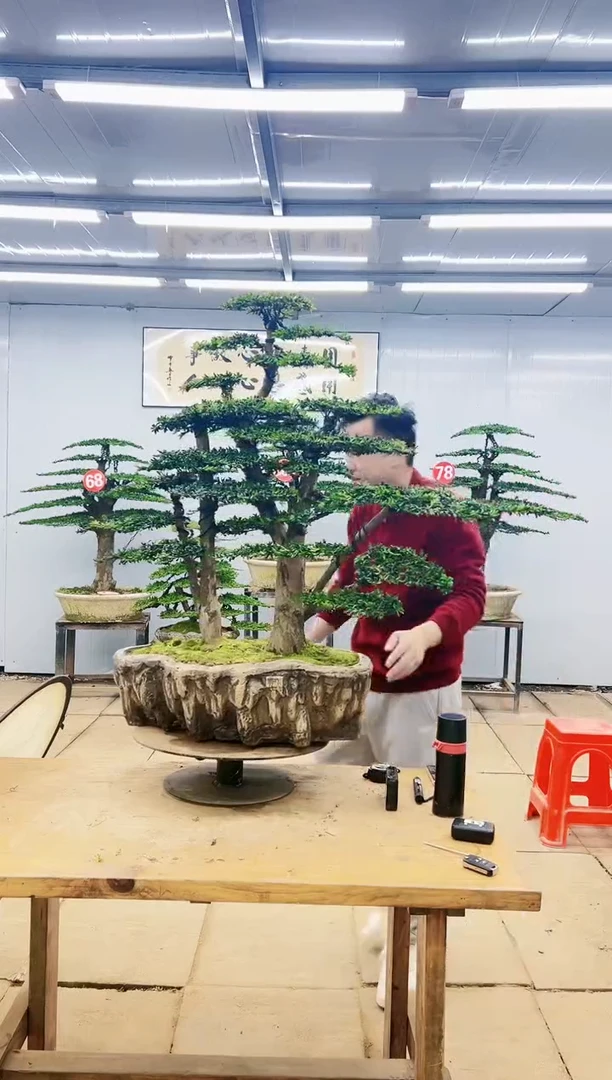 0000000000000000000000