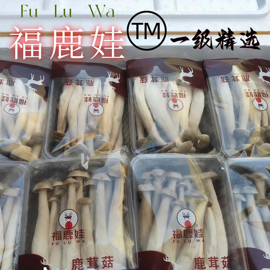 新鲜【鹿茸菇/黄色金针菇/海鲜菇/宝宝杏鲍菇】无甲醛云南白蘑菇
