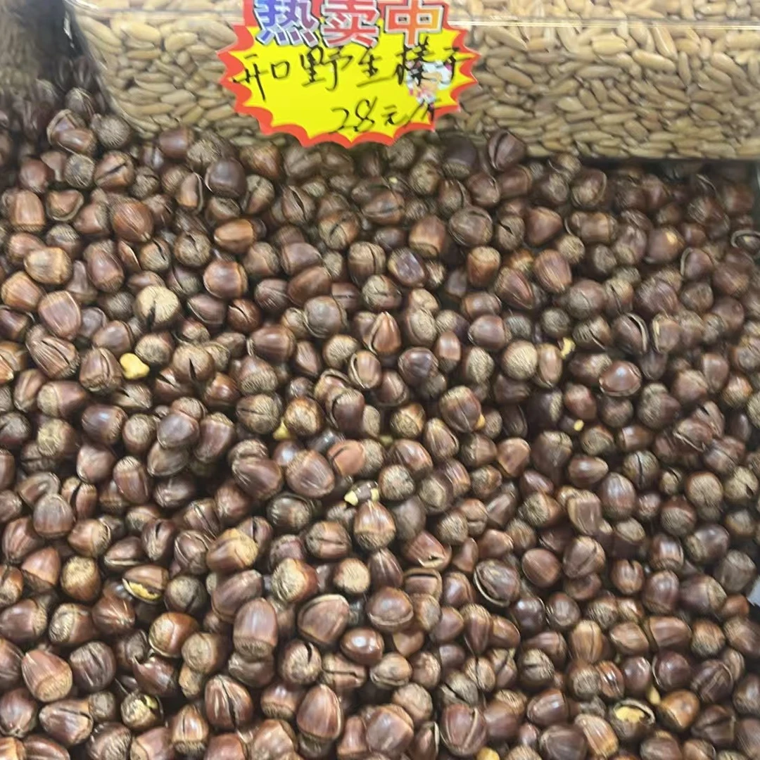 【东北开口野生大榛子】坚果零食批发