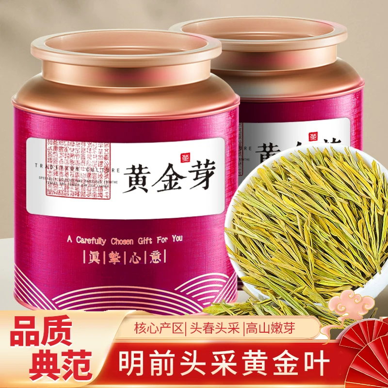 珍藏黄金芽2025年新茶明前头采特级春茶浓香耐泡高山绿茶