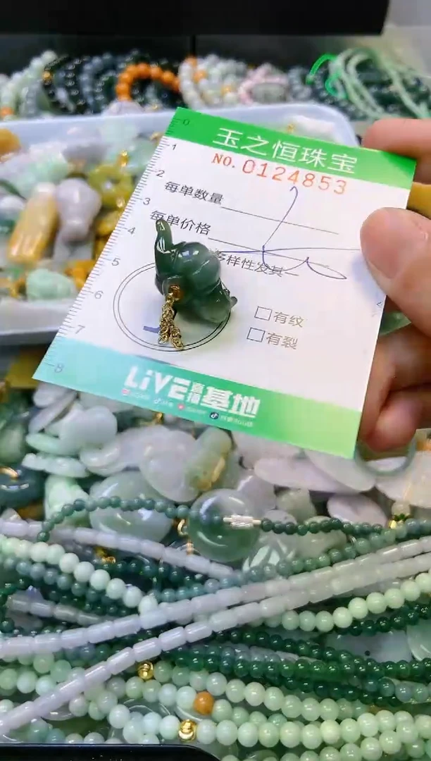 翡翠未镶嵌颈饰闪购0124853多样性发其一