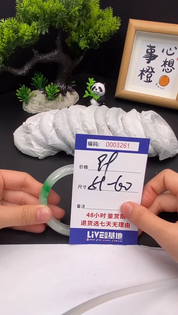 未镶嵌手镯翡翠0003261