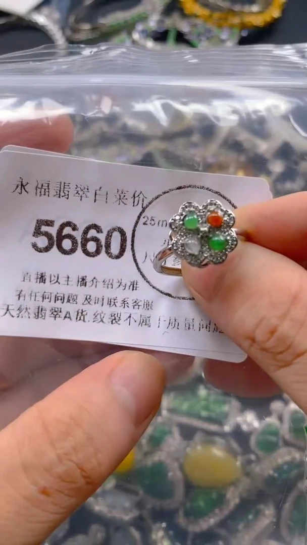 翡翠未镶嵌吊坠(不含链)5660.。。。。。