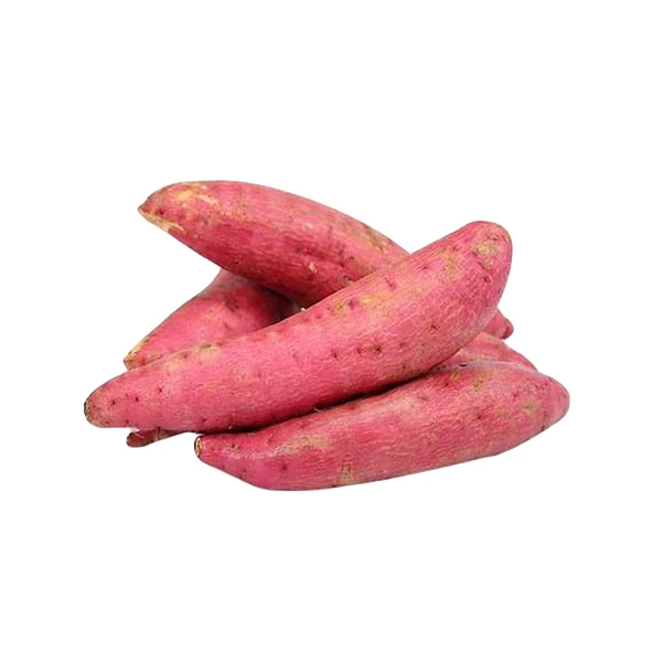 板栗红薯约500克-600克/份(番薯)其他