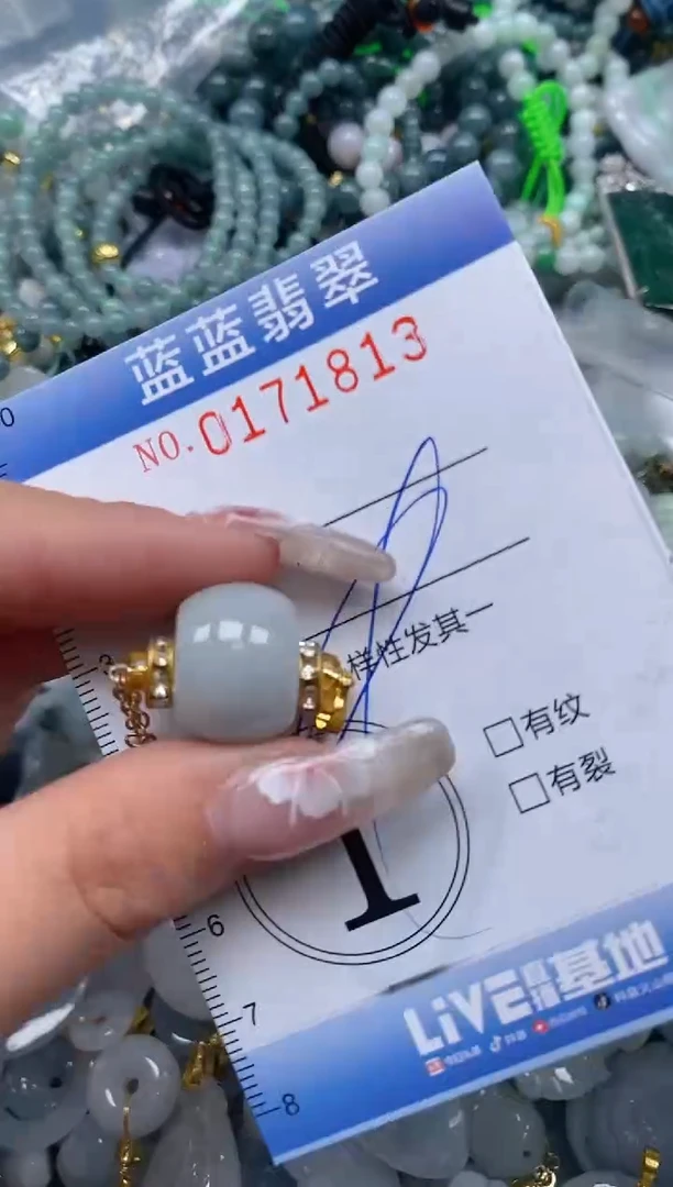 【闪购商品】翡翠颈饰未镶嵌闪购0171813