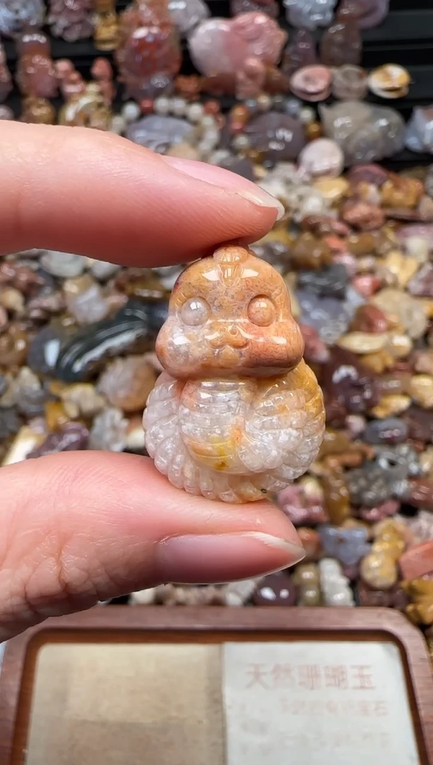 颈饰未镶嵌硅化珊瑚（珊瑚玉）255