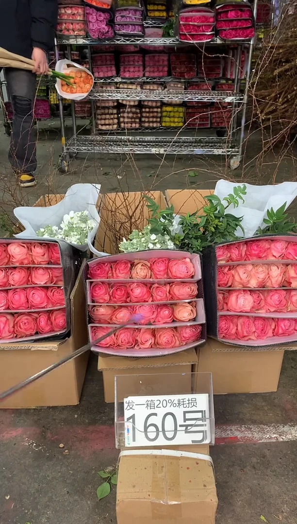 160号♥中通含20%耗损发一箱鲜花