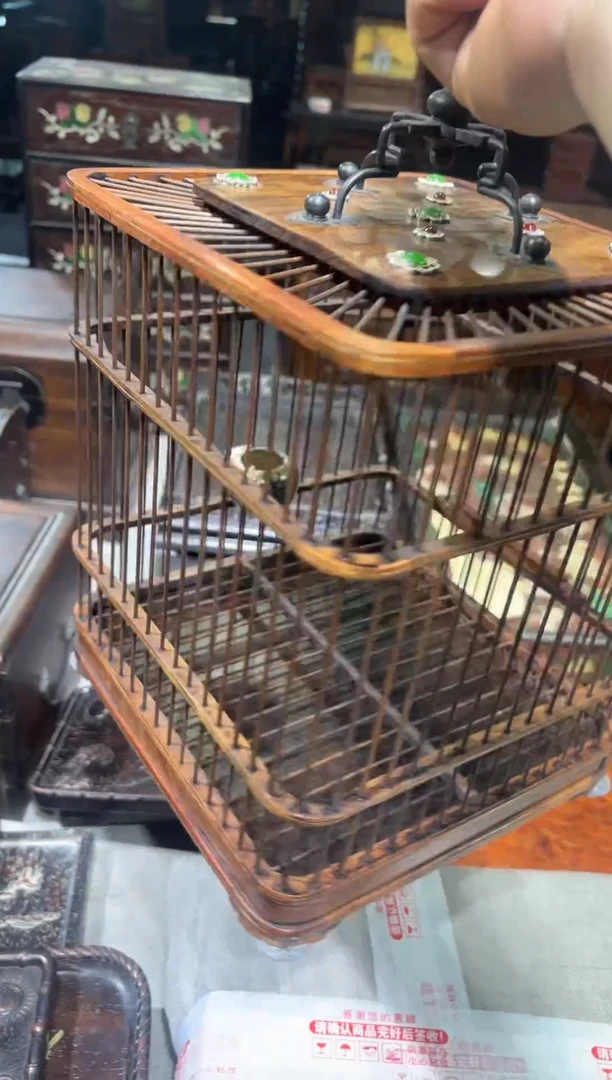 木海黄遛鸟笼养鸟笼