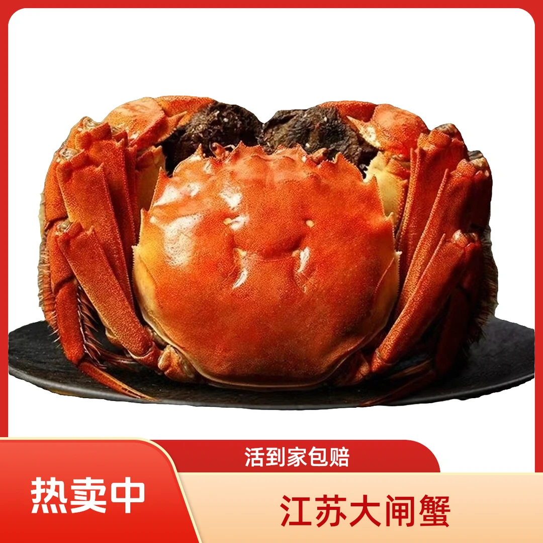 B【活蟹】江苏大闸蟹公母混搭公蟹4两母蟹3两共10只死蟹包赔海鲜