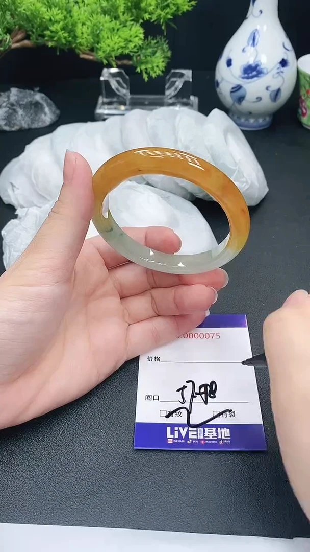 未镶嵌手镯翡翠75