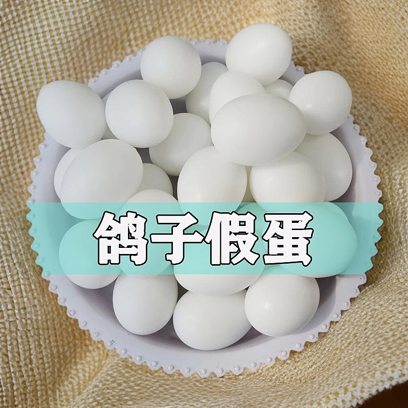 鸽子假蛋信鸽用品用具实心假蛋引蛋孵卵用品肉鸽信鸽鸽具