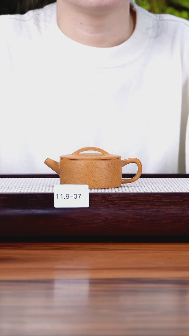 茶壶紫砂11.9-7老段泥  汉瓦130