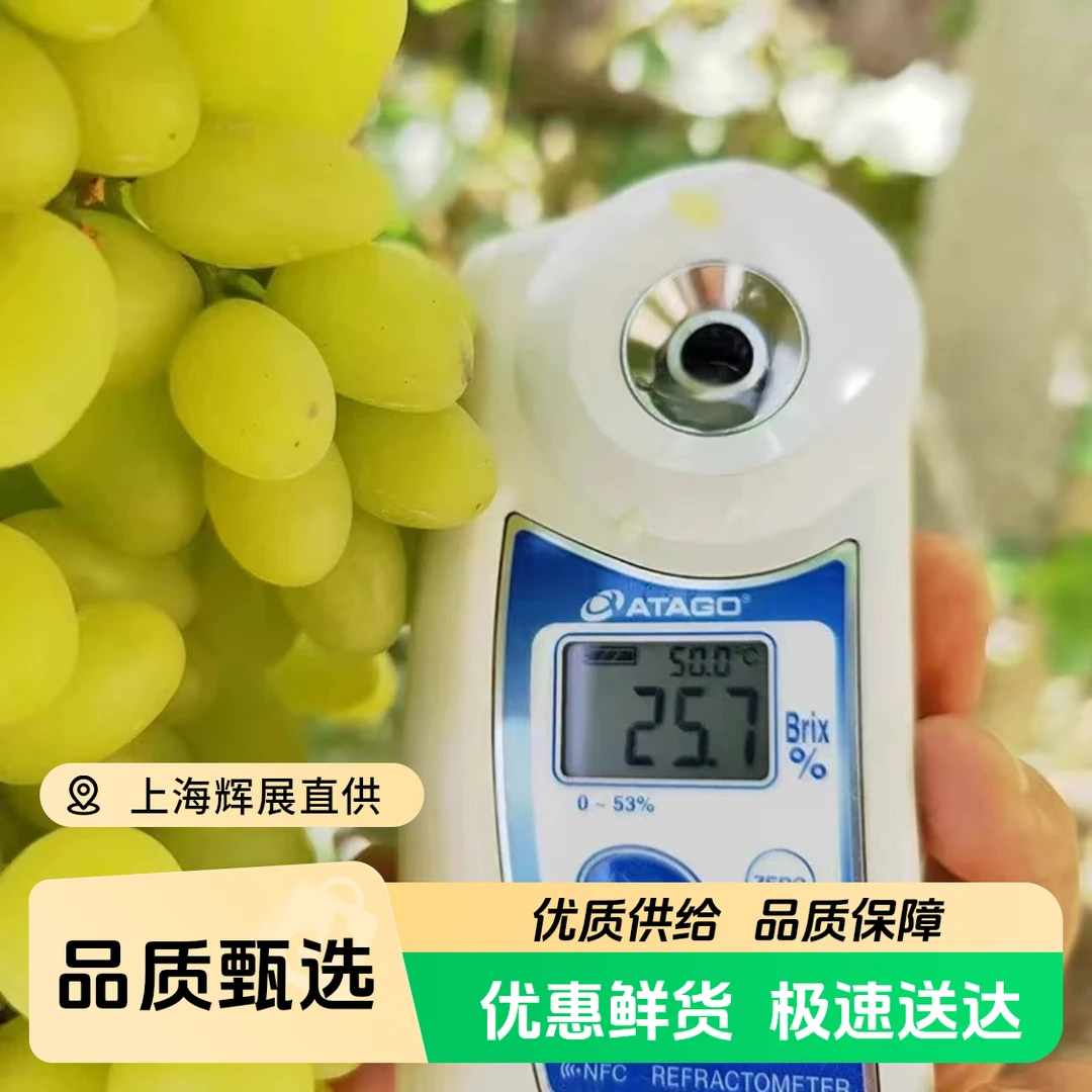 新疆葡萄新鲜吐鲁番无核白当季水果无籽马奶提子1-10斤葡萄同城送新疆维吾尔自治区