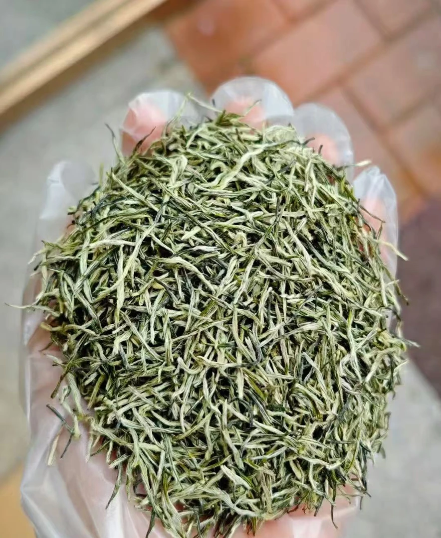 2025年明前二采全芽毛尖浓香耐泡