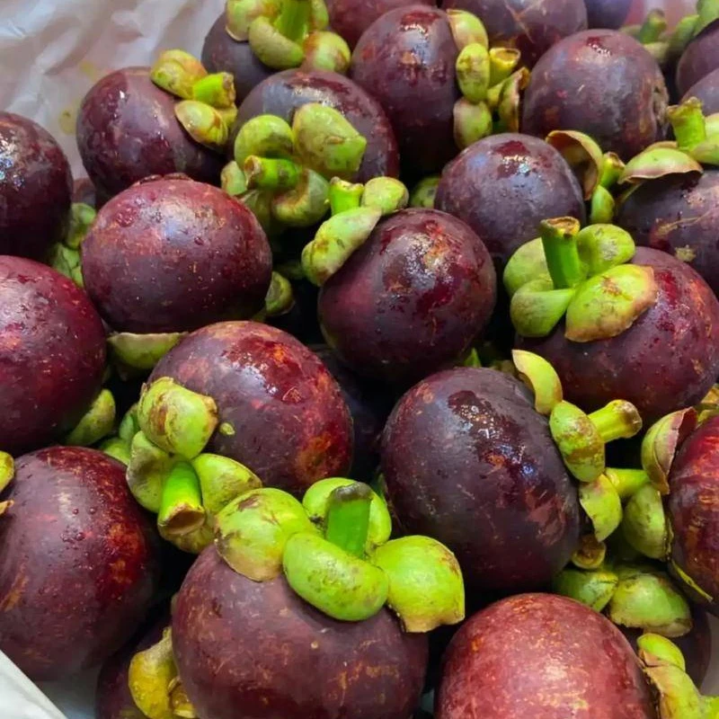 【进口水果】精品山竹新鲜300g