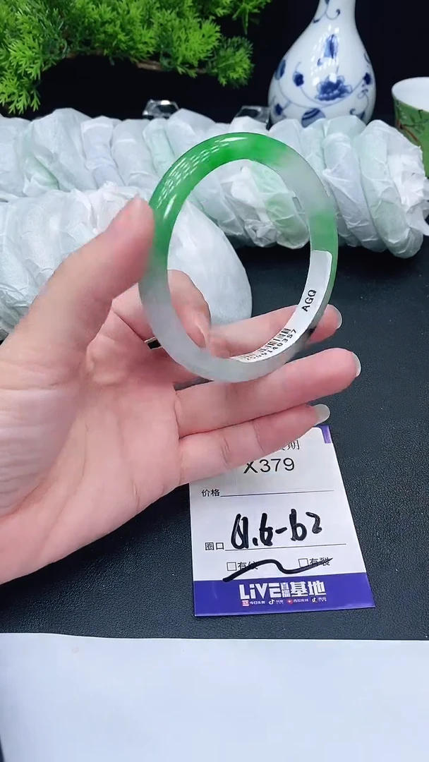 未镶嵌手镯翡翠379
