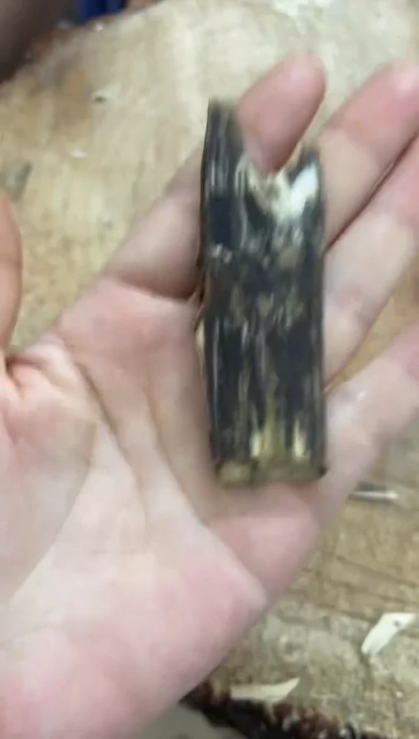 沉香碎屑沉香棋楠沉香 原料文创1金