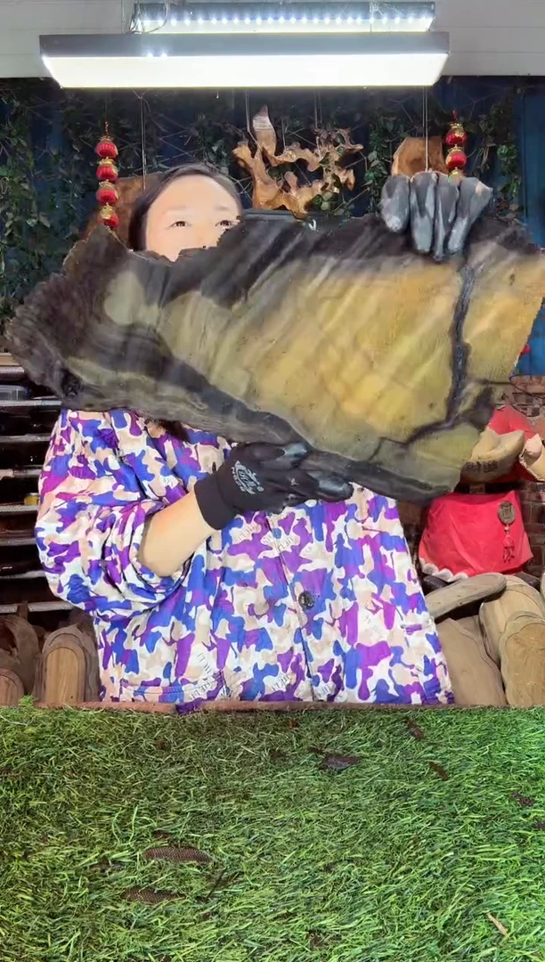 金丝楠小叶桢楠67