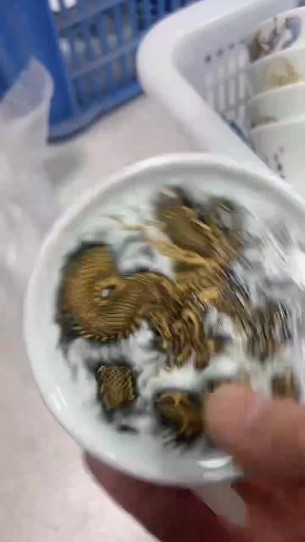 【闪购商品】景德镇陶瓷福利价