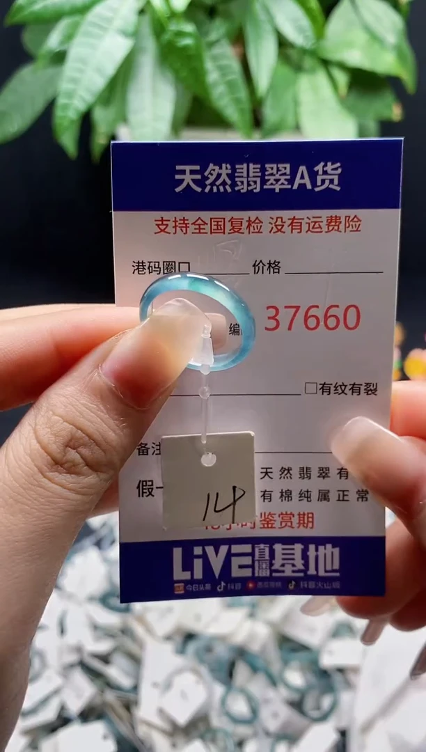 翡翠戒指未镶嵌天然翡翠戒圈7660