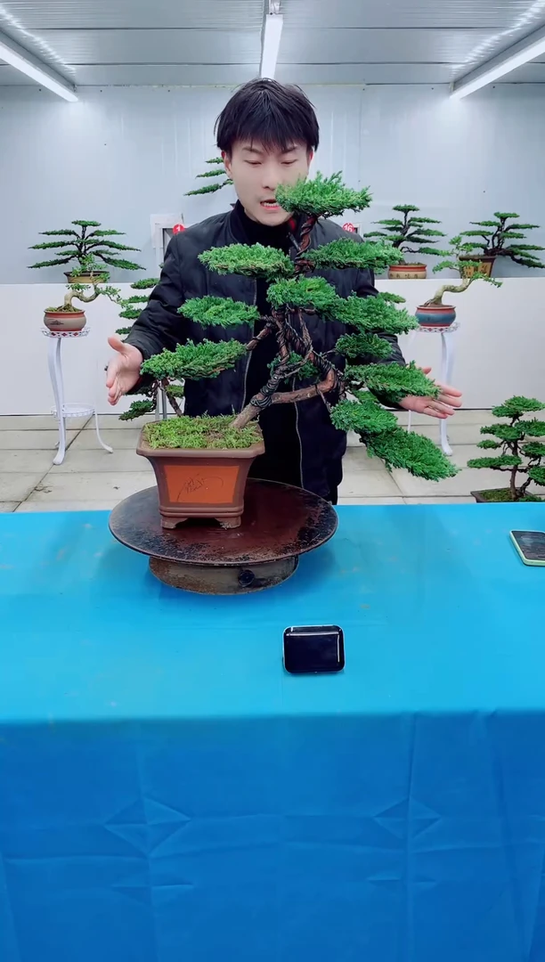 无花朵000000000000000