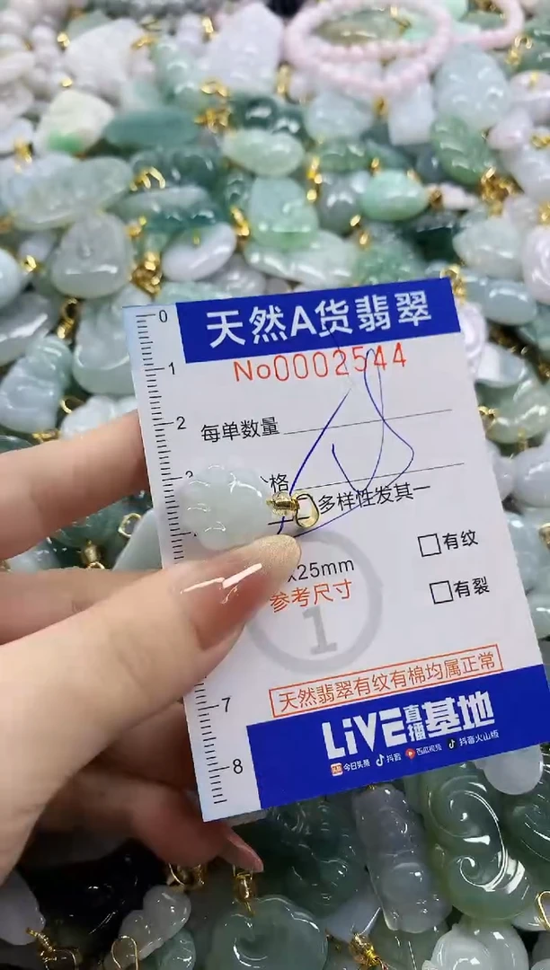 颈饰未镶嵌翡翠天然A货翡翠
