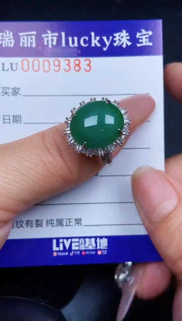 翡翠银S925镶嵌颈饰9383