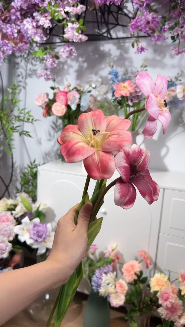 3枝混色布朗尼郁金香
