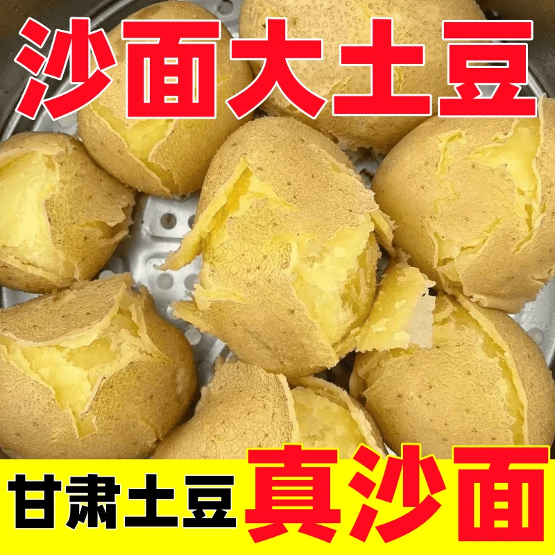 定西旱地老品种黄皮黄心沙糯粉面土豆新鲜现挖当季蔬菜