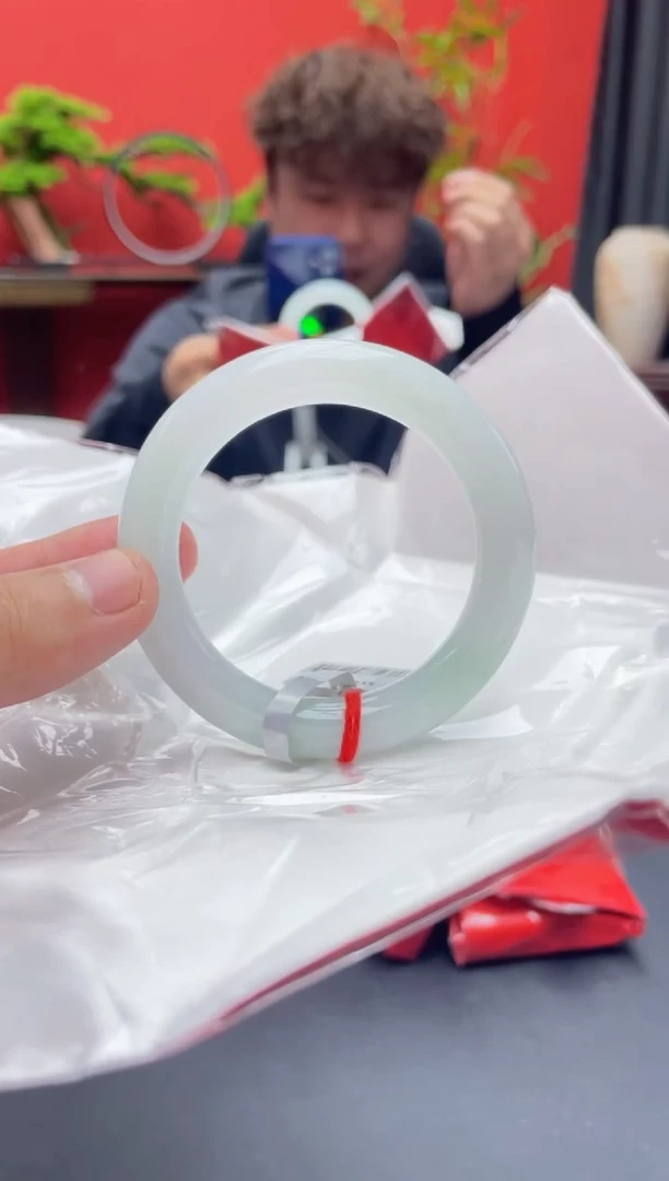 未镶嵌手镯翡翠6