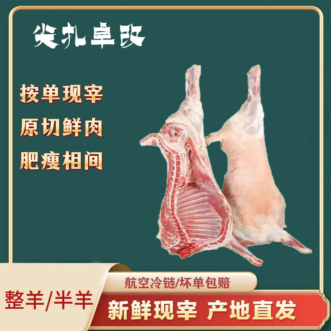 青海散养整羊40-50斤/半羊15-25斤%腿排整扇新鲜现宰发货