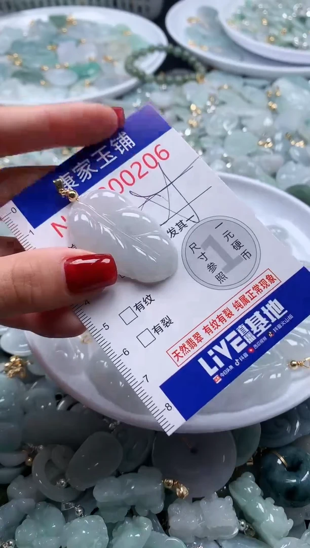 翡翠未镶嵌吊坠(不含链)206
