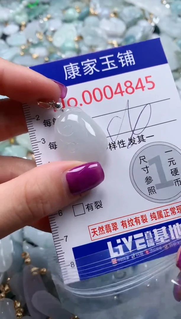 颈饰未镶嵌翡翠4845