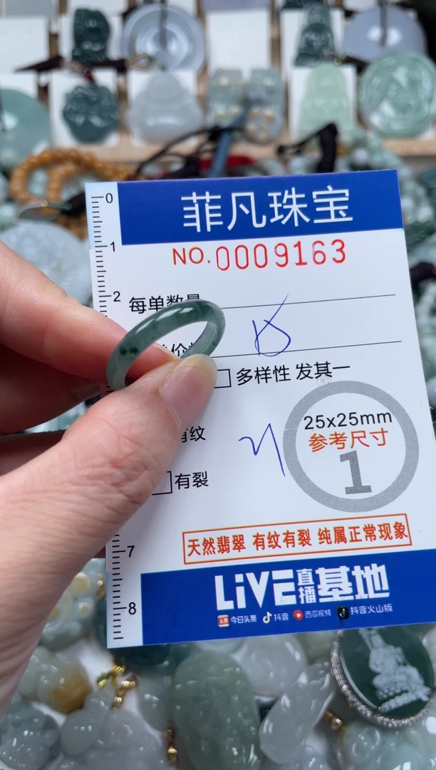 翡翠未镶嵌颈饰00..9163