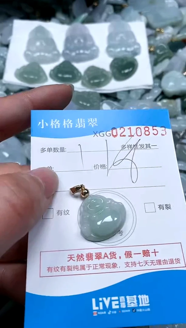【闪购商品】翡翠颈饰未镶嵌闪购商品0210853