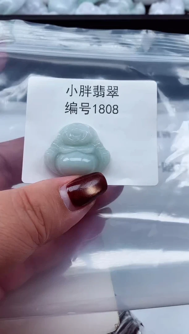 颈饰未镶嵌翡翠缅甸天然A货翡翠1808