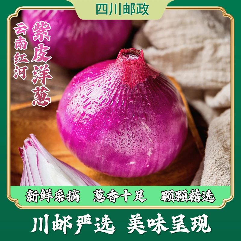 【川邮严选】10斤装2025新鲜现挖紫红皮洋葱可生吃圆葱蔬菜微辣fd