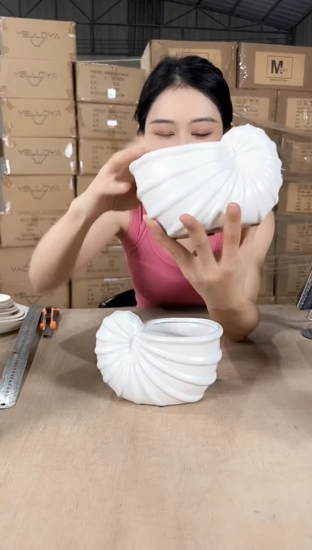2海螺白色小号10x16x9