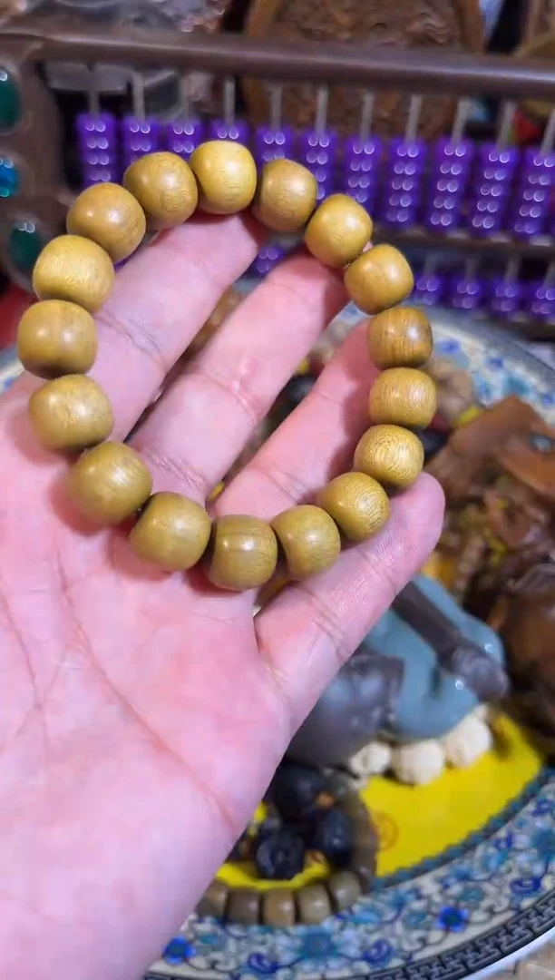 黄杨木111111111111111111