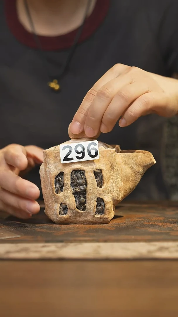 其他陶瓷茶器宝瓶296